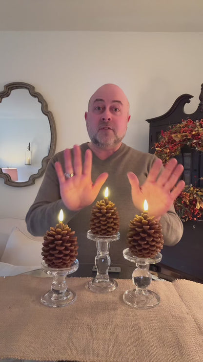 Pine Cone Flameless Candle Set™